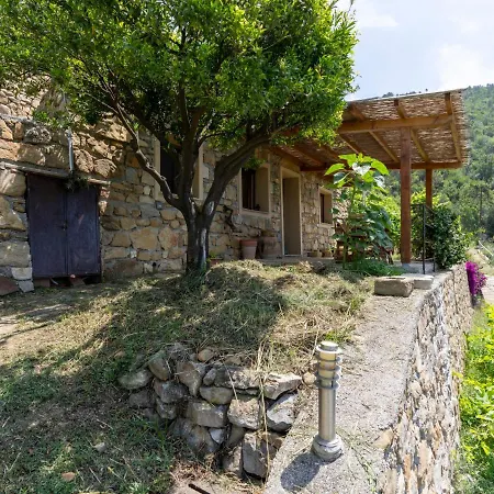 Il Mandarino By Interhome Vallebona