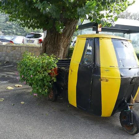 Il Mandarino By Interhome