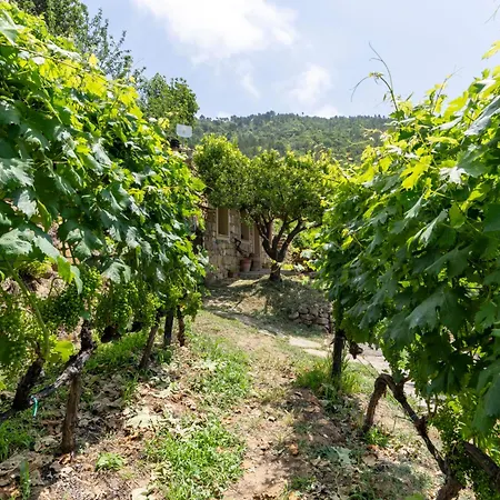 Il Mandarino By Interhome Casa vacanze *