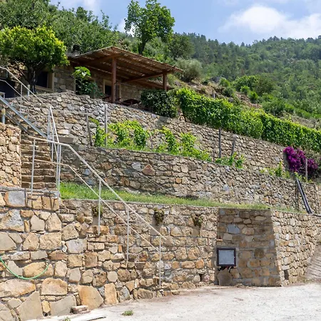 Il Mandarino By Interhome * Vallebona